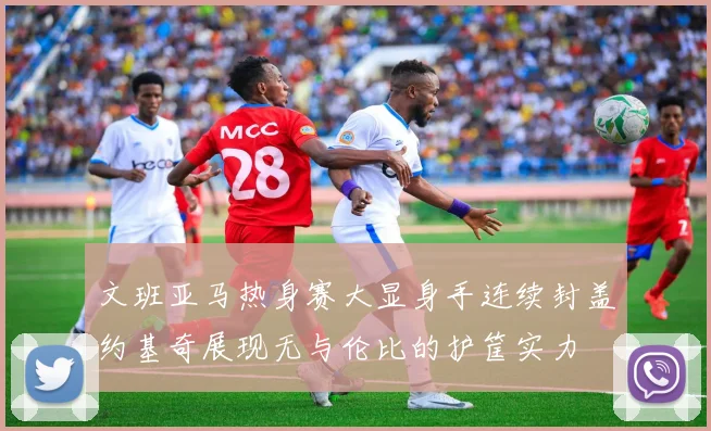 文班亚马热身赛大显身手连续封盖约基奇展现无与伦比的护筐实力